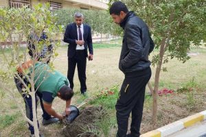 حملة في كلية العلوم الإسلامية بجامعة كربلاء لإدامة حدائق الكلية
