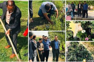 طلبة قسم اللغة العربية ينظمون حملة تطوعية لزراعة الأشجار والورود بالتعاون مع الوحدة الزراعية