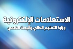 الاستعلامات الاكترونية