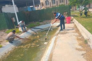 كلية العلوم الاسلامية تنفذ حملة لتنظيف الحدائق