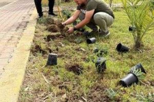 استئناف حملة زراعة حدائق كلية العلوم الإسلامية لتعزيز البيئة الجامعية