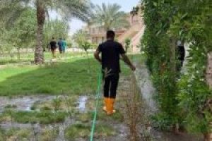 الوحدة الزراعية في كلية العلوم الإسلامية تواصل العناية بالنباتات لمواجهة حرارة الصيف