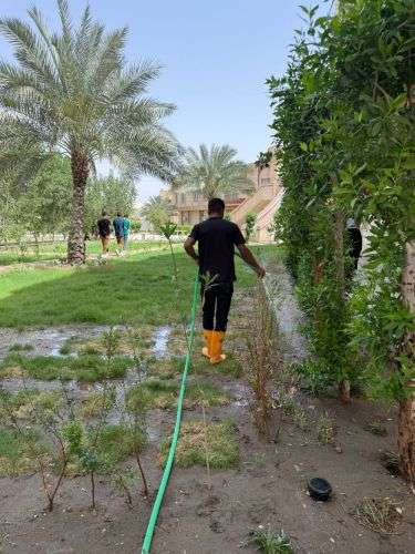 الوحدة الزراعية في كلية العلوم الإسلامية تواصل العناية بالنباتات لمواجهة حرارة الصيف