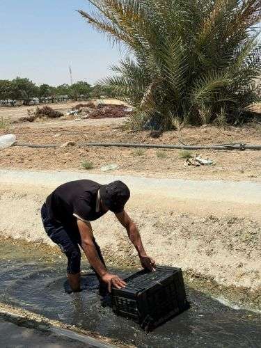 لجنة الصيانة في كلية العلوم الإسلامية تواصل بإخلاص وتفانٍ