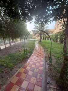 Read more about the article الوحدة الزراعية في كلية العلوم الإسلامية تواصل جهودها في الحفاظ على المساحات الخضراء رغم ارتفاع درجات الحرارة