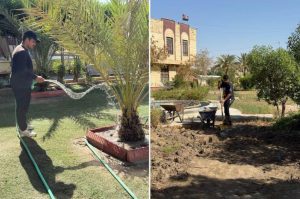 Read more about the article استمرار أعمال العناية بحدائق كلية العلوم الإسلامية وزراعة المساحات الفارغة