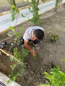 Read more about the article الوحدة الزراعية في كلية العلوم الإسلامية تطلق حملة لزراعة الشتلات وإدامة الحدائق مع بداية العام الدراسي الجديد