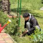 الوحدة الزراعية في كلية العلوم الإسلامية تواصل حملة تسميد النباتات باليوريا العضوية بشكل دوري