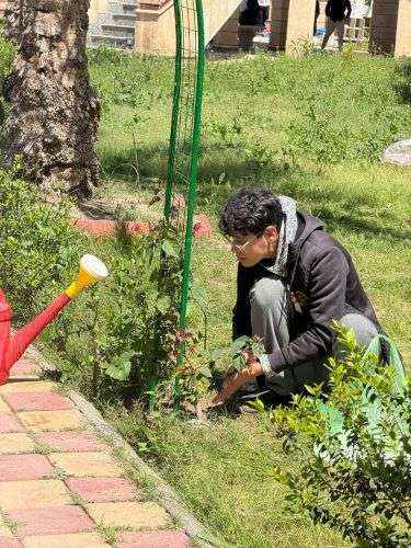 الوحدة الزراعية في كلية العلوم الإسلامية تواصل حملة تسميد النباتات باليوريا العضوية بشكل دوري