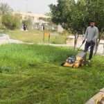 كلية العلوم الإسلامية تواصل حملة قصّ الثيل وإزالة الأدغال ضمن جهودها المستمرة للعناية بالبيئة الجامعية