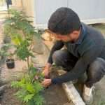 استمرار حملة التشجير في كلية العلوم الإسلامية لتعزيز المساحات الخضراء وتطوير البيئة الجامعية